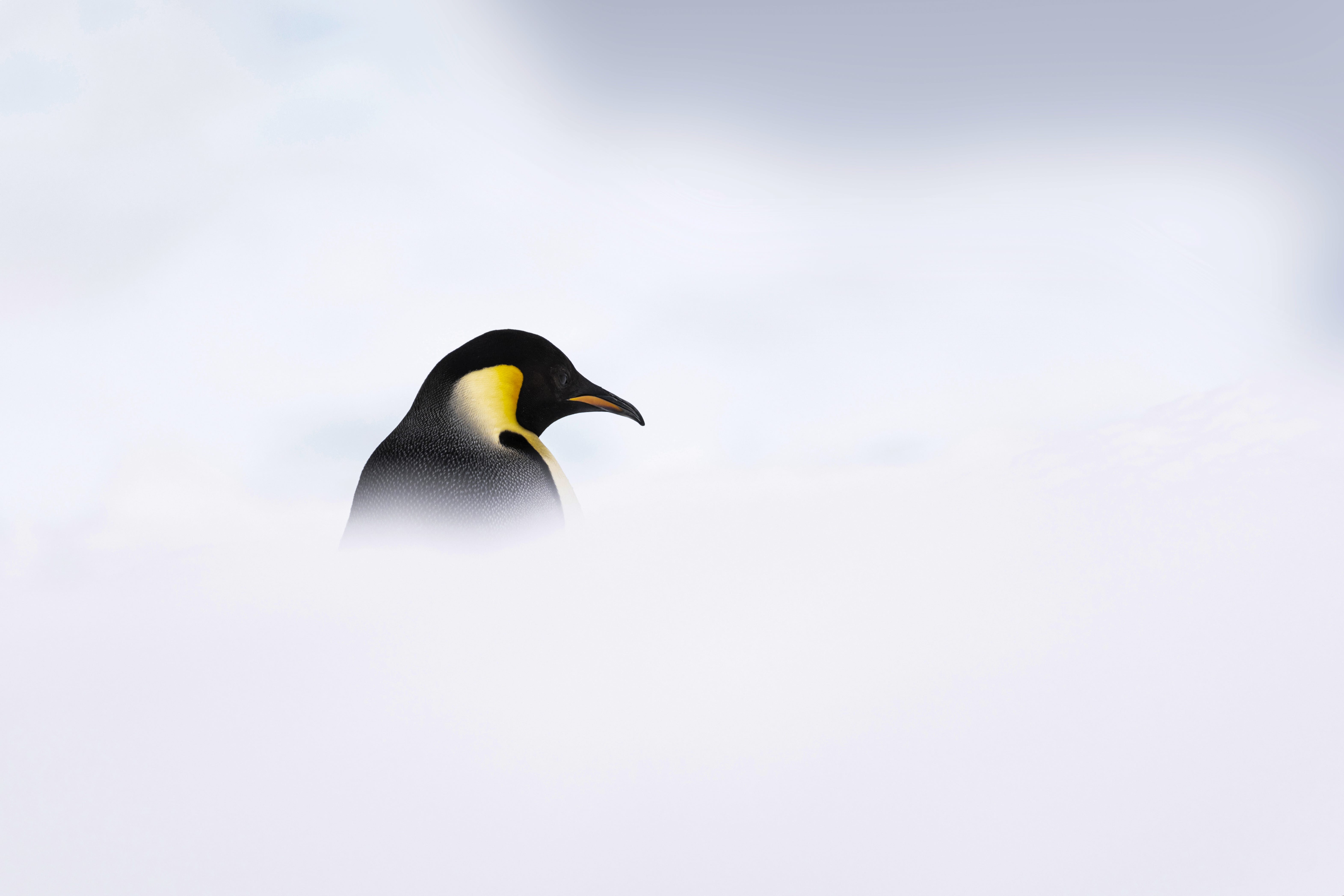 Antarctica landscape